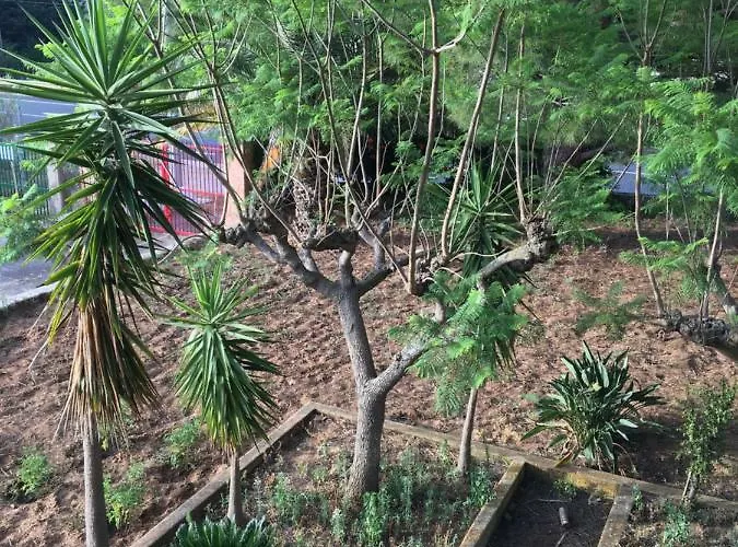 アパート Augustea アルカモ