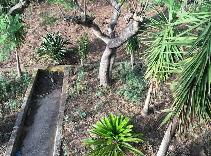 Augustea 公寓 阿尔卡莫